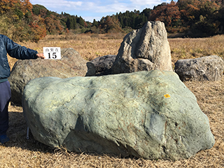 山梨青
