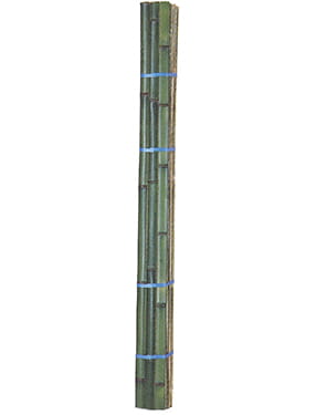 青建仁寺割竹1束(巾約4.5cm/1枚×20枚入)