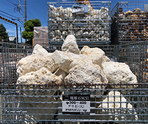 琉球石灰岩