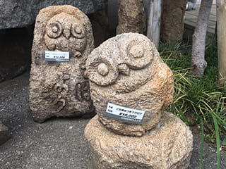 岡崎御影のフクロウ ~ この葉の台つき